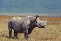 /album/wwf/neus-2-jpg/
